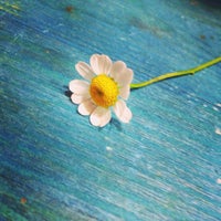 Photo taken at цветы &amp;quot;Art-Rose&amp;quot; флористическое ателье by Irina K. on 5/6/2014