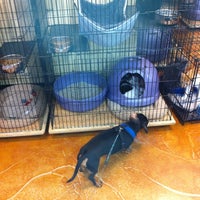 Feeders Supply Pet Store In The Highlands