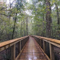 Photo taken at Congaree National Park by michelle on 11/13/2016