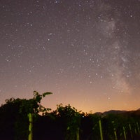 7/3/2014 tarihinde Cantina Suasaziyaretçi tarafından Cantina Suasa'de çekilen fotoğraf