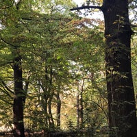 Photo taken at Highgate Wood by Ed H. on 10/27/2019