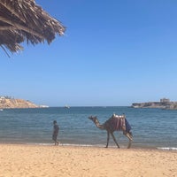 Photo taken at Iberotel Palace Sharm El Sheikh by Funda ö. on 7/20/2023
