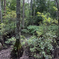 Photo taken at First Landing State Park by iGor on 8/19/2022