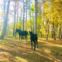 Photo taken at Национальный парк «Кисловодский» by Витте Адам on 10/15/2018