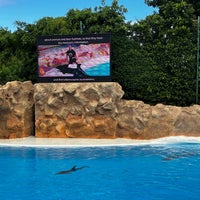 Foto scattata a Loro Parque da László B. il 3/18/2024