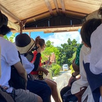 竹富観光センター Tourist Information Center