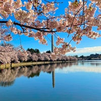 Photo taken at Cherry Blossoms by Sam on 3/27/2024