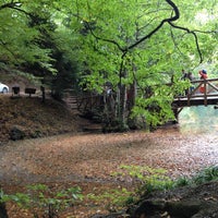 Photo taken at Yedigöller Milli Parkı by Ayşe G. on 10/8/2016