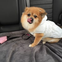 Petsmart Pet Store In Wyomissing