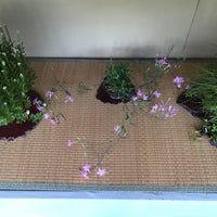 Photo taken at Kihouen bonsai shop by Gauthier G. on 7/18/2016