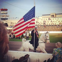Tennessee Walking Horse National Celebration - Shelbyville, TN
