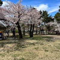Photo taken at 合浦公園 by どるふぃん on 4/19/2023