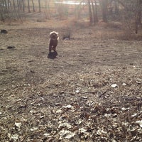 Tony Grampsas Park 2 Tips From 212 Visitors