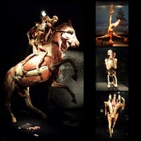 Photo taken at Body Worlds: The Original Exhibition by Christina W. on 10/6/2013