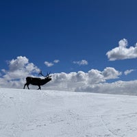 3/20/2024 tarihinde Tim H.ziyaretçi tarafından Vail Ski Resort'de çekilen fotoğraf