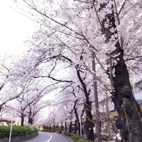 Photo taken at 前谷津川緑道 by まさやん on 3/25/2018