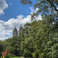 Photo taken at Central Park Cherry Blossoms by 🕊️ on 10/9/2023