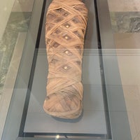 Снимок сделан в The Ashmolean Museum пользователем Ibrahem 8/20/2023