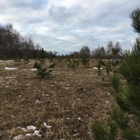 Photo taken at Stroginsky Park by Sergei B. on 1/17/2020