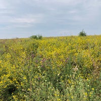 Photo taken at Озеро Ильмень by Demorgan M. on 7/28/2021