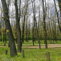 Photo taken at Miljakovačka šuma by Mirjana P. on 4/16/2022