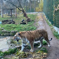 Photo taken at Riga Zoo by Maija J. on 10/15/2022