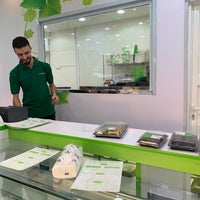عريشة اوراق العنب مغرزات 1 Conseil De 95 Visiteurs