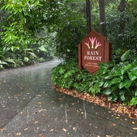 Photo taken at The Rain Forest by Sheep M. on 1/22/2023