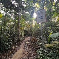 Photo taken at Bukit Timah Nature Reserve by Nick on 6/4/2022