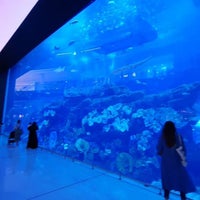 Photo taken at Dubai Aquarium by Omar ♎ on 5/3/2024