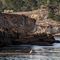 Photo taken at Point Lobos State Reserve by Liz W. on 11/21/2023