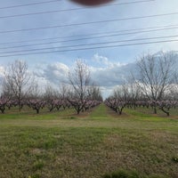 Photo taken at Lane Southern Orchards by Trisha M. on 2/28/2024