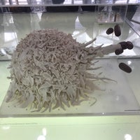 Photo taken at Museu De Microbiologia-Instituto Butantan by Daniel C. on 7/21/2018