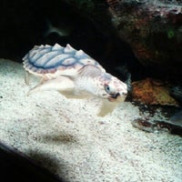 Photo taken at National Aquarium by invenTIFF on 12/9/2012