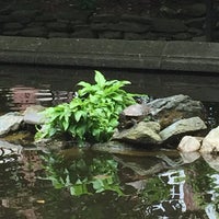 Photo taken at Brooklyn College Lily Pond by Ross B. on 5/9/2017