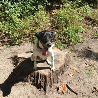 timber creek dog park timber creek dog park