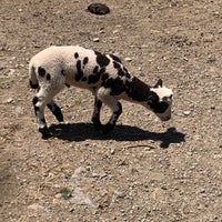 Foto tirada no(a) Lake Tobias Wildlife Park por Theresa em 6/14/2020