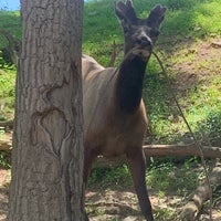 6/14/2020にTheresaがLake Tobias Wildlife Parkで撮った写真