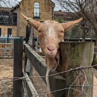 Photo taken at Vauxhall City Farm by Zoe on 2/11/2023