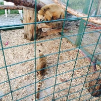 Photo taken at Зоопарк Ривьера by Natalia on 7/28/2015