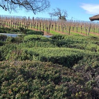Photo taken at Gainey Vineyards by Alan R. on 3/9/2019