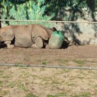 Photo taken at Black Rhino/Nile Hippo Exhibit by Alan R. on 1/15/2017