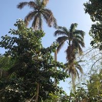 Photo taken at Aswan Botanical Island by GAELLE K. on 3/9/2022