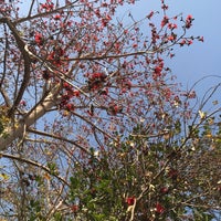 Photo taken at Aswan Botanical Island by GAELLE K. on 3/9/2022