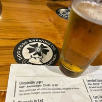 Photo taken at Dog Rose Brewing Co. by Mary Ann S. on 1/15/2024