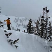Photo prise au Alta Ski Area par Misha . le3/8/2023