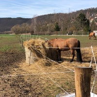 Photo taken at Ranč Radotín by Charlie on 3/17/2019