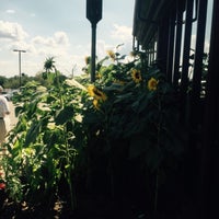 Photo taken at DePiero&#39;s Farm Stand and Greenhouses by Drew G. on 8/1/2015