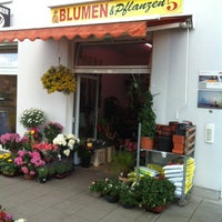 Photo taken at Blumen und Pflanzen by Miguel A. on 5/20/2014