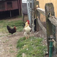 Makinajian Poultry Farm Farm In Huntington